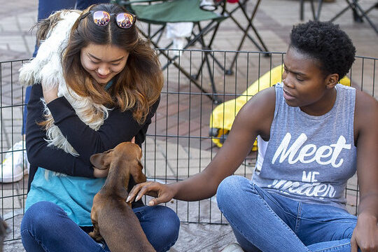 Find Support - Two students cuddle puppies at a wellness event